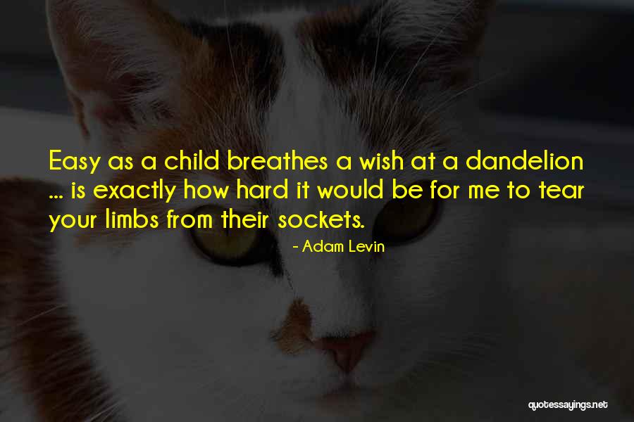 Binas Bais Quotes By Adam Levin Binas Bais Quotes By Adam Levin