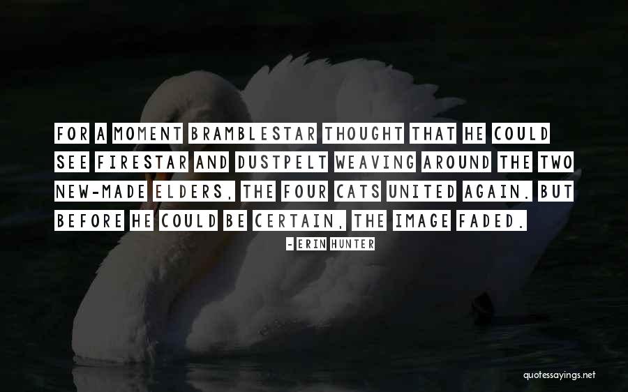 Bindewald And Associates Quotes By Erin Hunter Bindewald And Associates Quotes By Erin Hunter