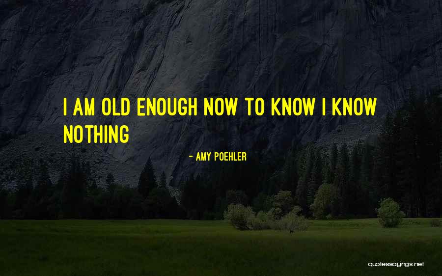 Bindhu Oommen Quotes By Amy Poehler Bindhu Oommen Quotes By Amy Poehler