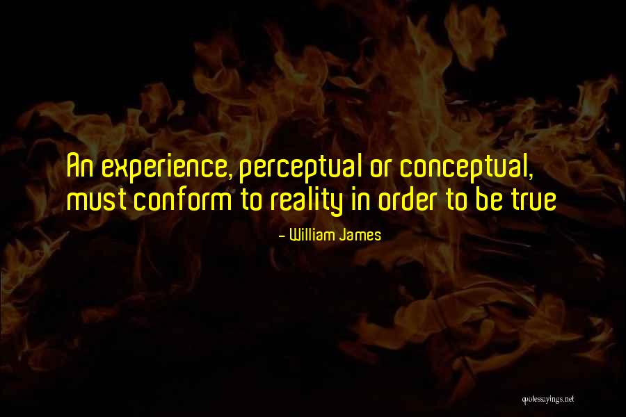 Bindi Cole Quotes By William James Bindi Cole Quotes By William James