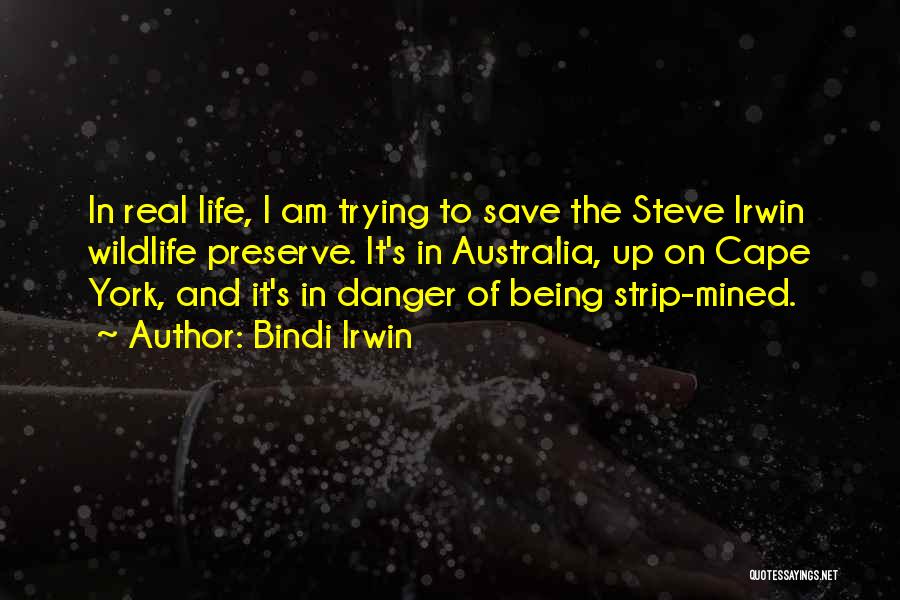 Bindi Irwin Quotes 1931092