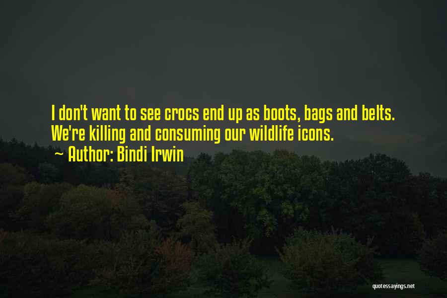 Bindi Irwin Quotes 530922