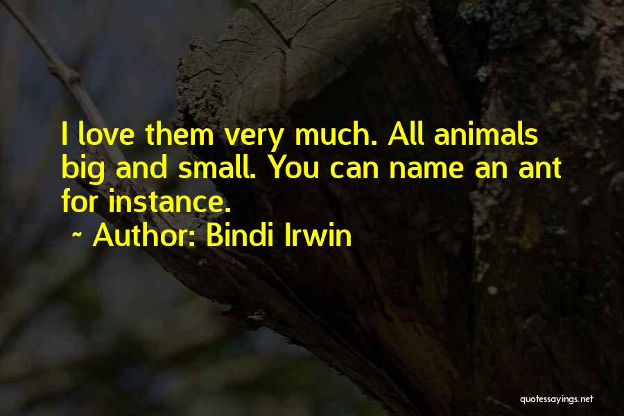 Bindi Irwin Quotes 789658