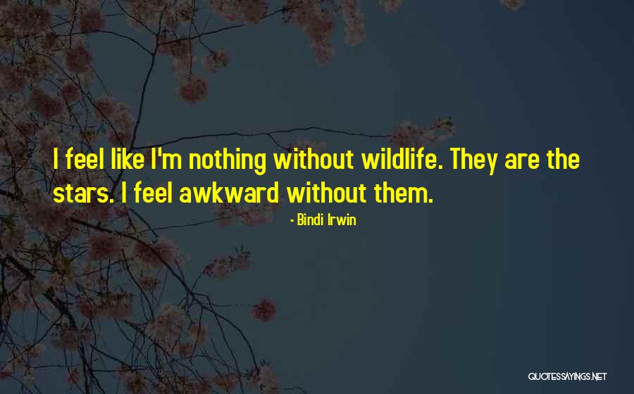 Bindi Quotes By Bindi Irwin