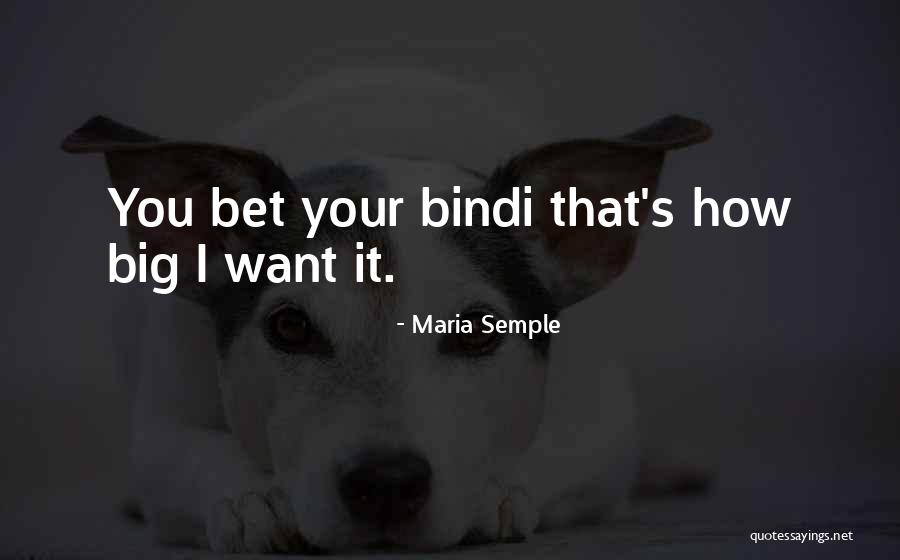 Bindi Quotes By Maria Semple