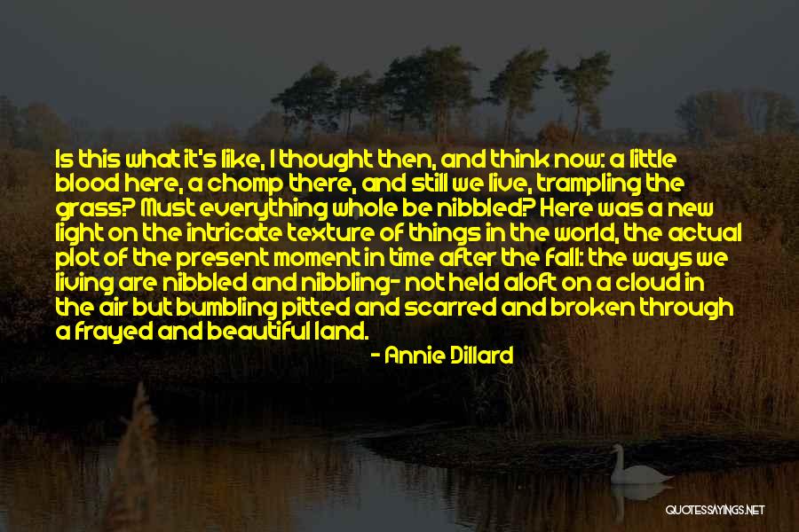 Bindik Bir Quotes By Annie Dillard Bindik Bir Quotes By Annie Dillard