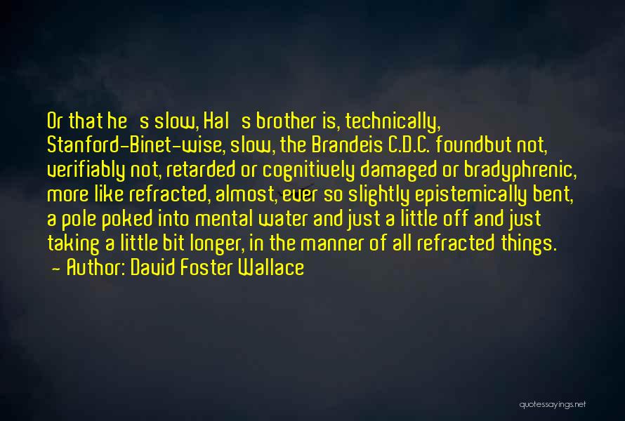 Binet Quotes By David Foster Wallace