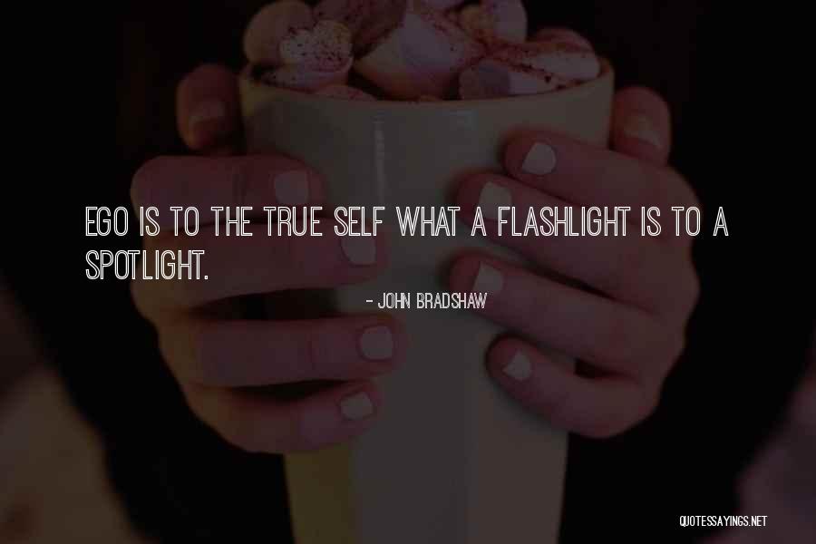 Bingeman Park Quotes By John Bradshaw Bingeman Park Quotes By John Bradshaw