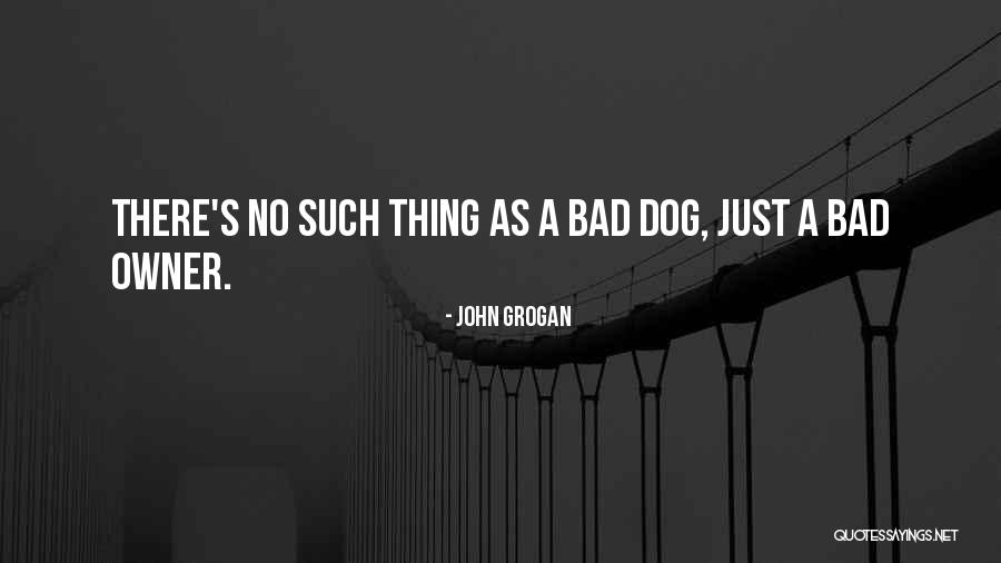 Bingos Near Quotes By John Grogan Bingos Near Quotes By John Grogan