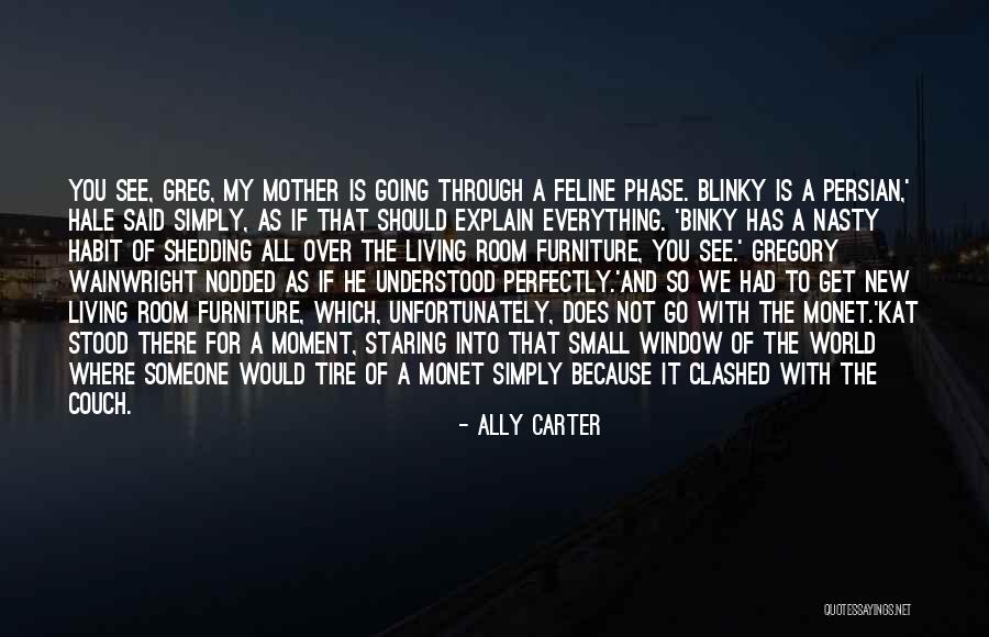 Binky Quotes By Ally Carter