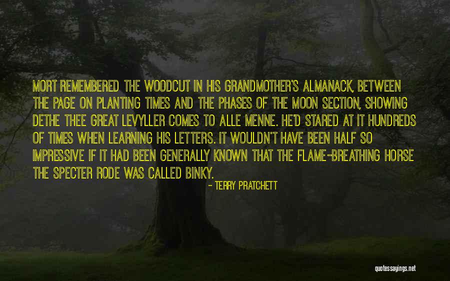 Binky Quotes By Terry Pratchett