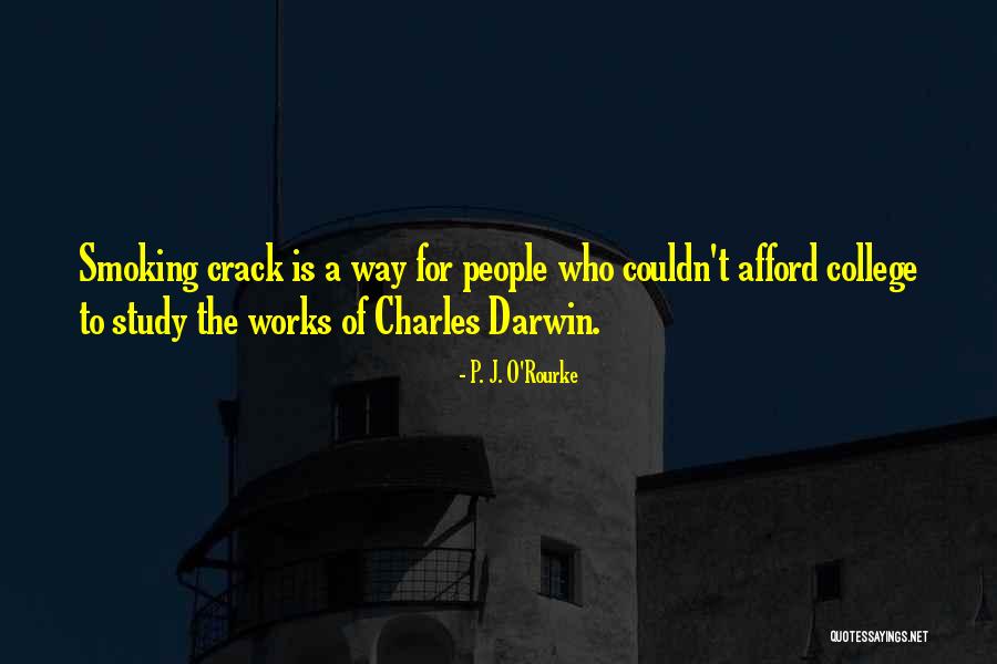 Binning In Pandas Quotes By P. J. O'Rourke Binning In Pandas Quotes By P. J. O'Rourke