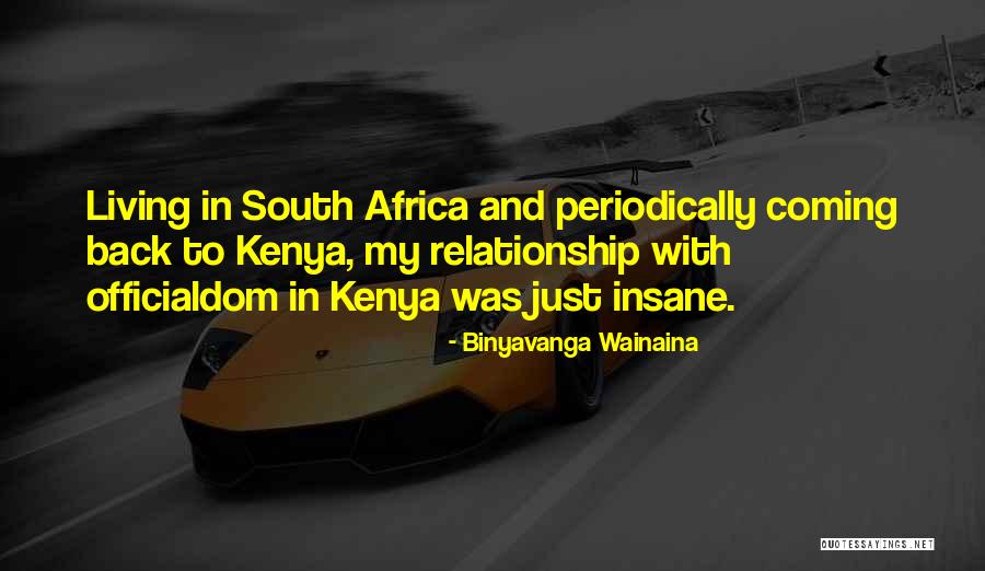 Binyavanga Wainaina Quotes 400643