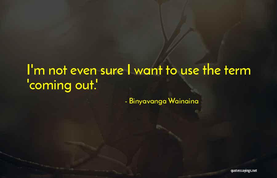 Binyavanga Wainaina Quotes 781243