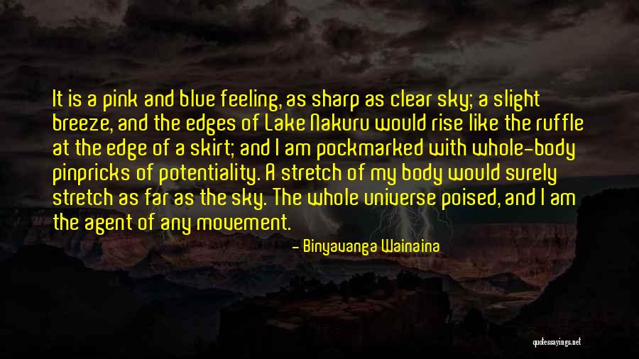 Binyavanga Wainaina Quotes 894305