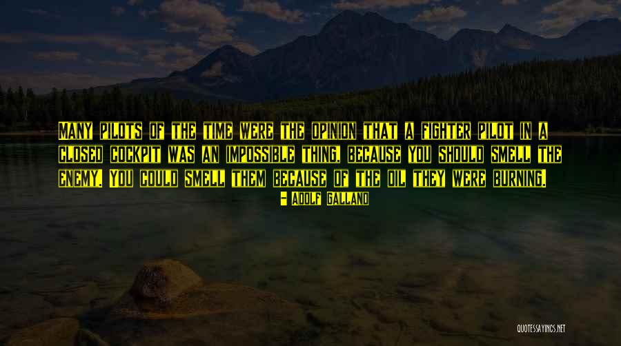 Binyeo Quotes By Adolf Galland Binyeo Quotes By Adolf Galland