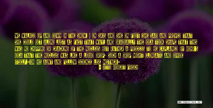 Bioenergy Life Quotes By Otto Robert Frisch Bioenergy Life Quotes By Otto Robert Frisch