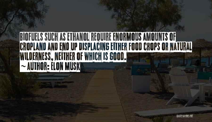 Biofuels Quotes By Elon Musk