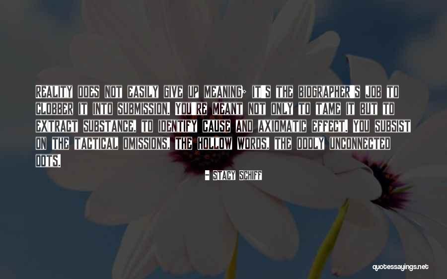 Biographer Quotes By Stacy Schiff Biographer Quotes By Stacy Schiff