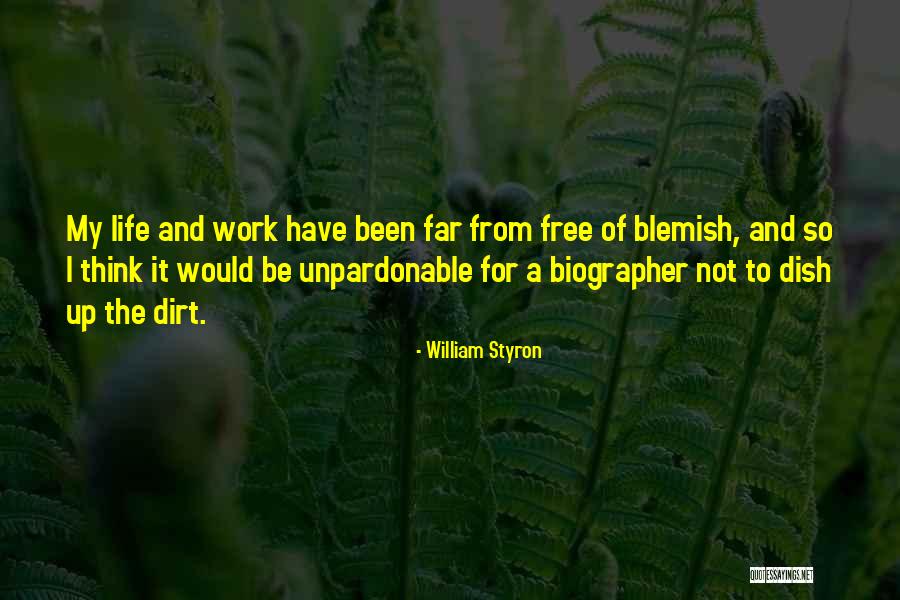 Biographer Quotes By William Styron Biographer Quotes By William Styron