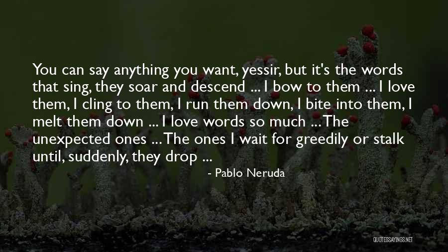 Biokinesis Funciona Quotes By Pablo Neruda Biokinesis Funciona Quotes By Pablo Neruda