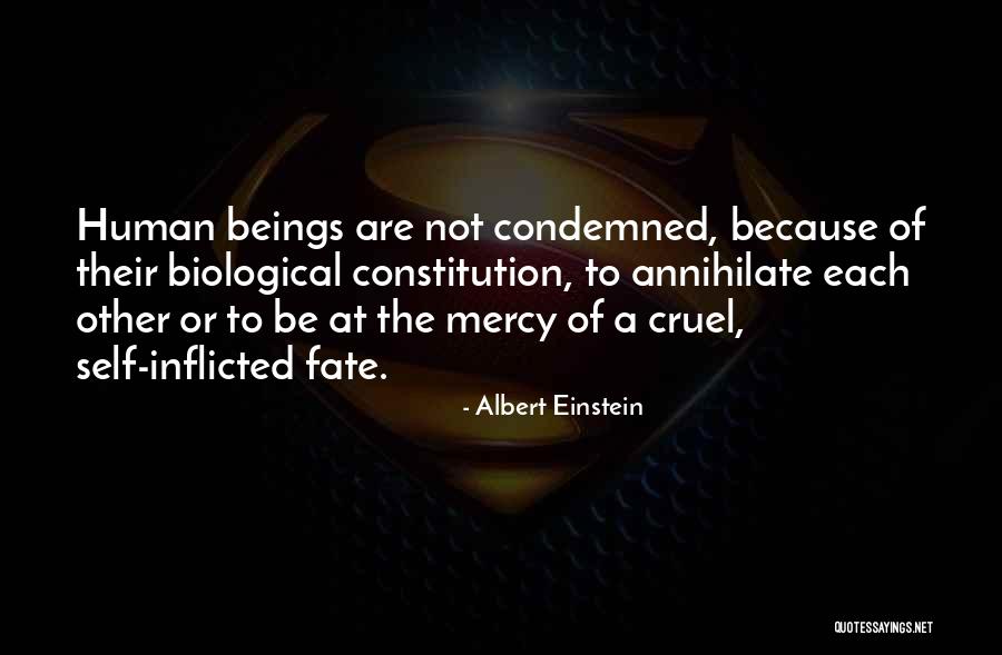 Biological Destiny Quotes By Albert Einstein Biological Destiny Quotes By Albert Einstein