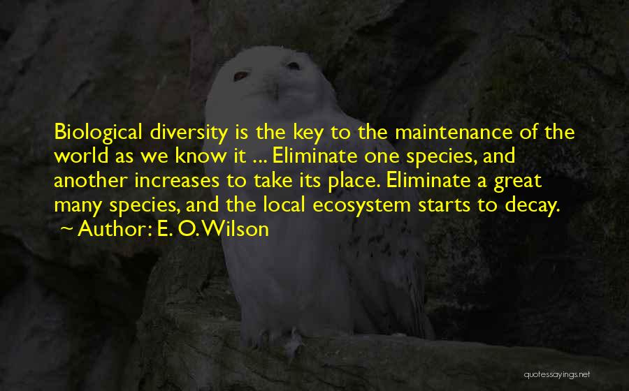 Biological Diversity Quotes By E. O. Wilson