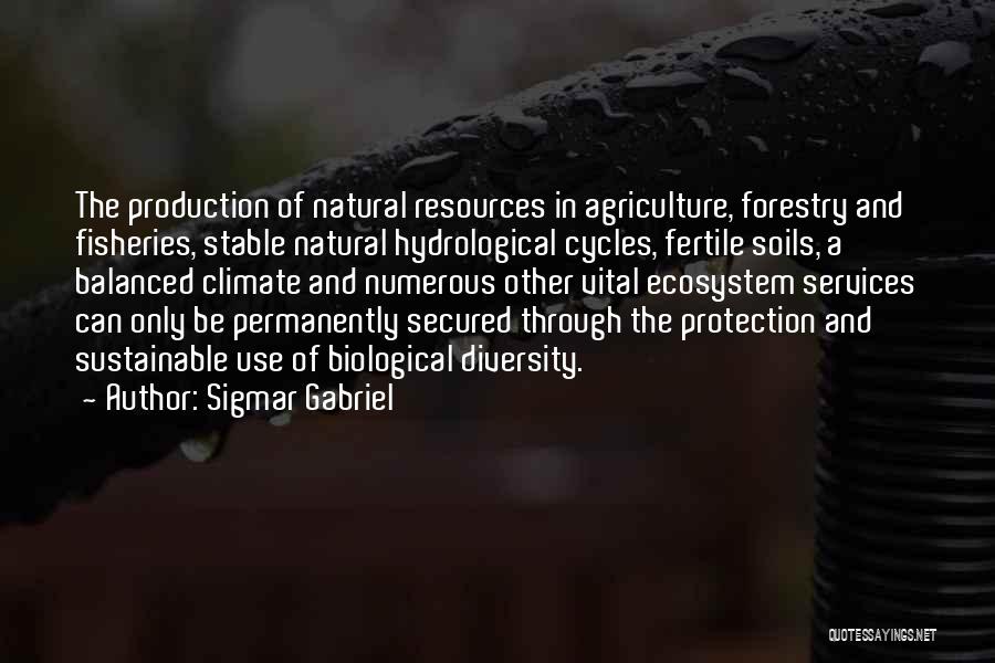 Biological Diversity Quotes By Sigmar Gabriel