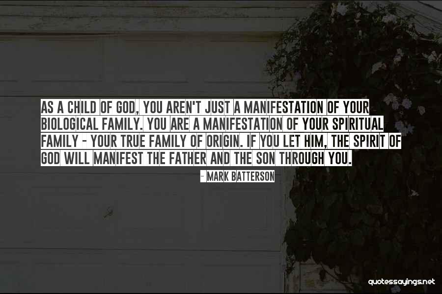 Biological Father Quotes By Mark Batterson