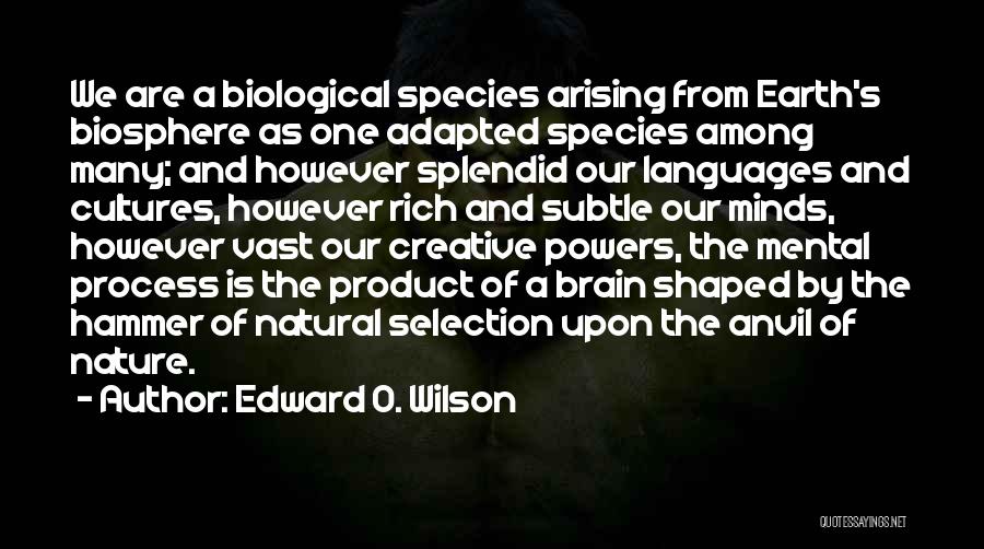 Biological Science Quotes By Edward O. Wilson