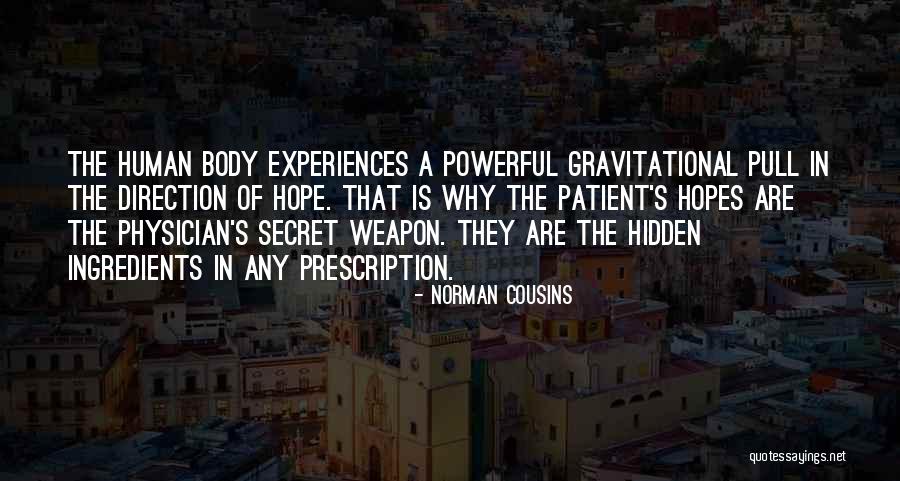 Bioluminescence Fish Quotes By Norman Cousins Bioluminescence Fish Quotes By Norman Cousins