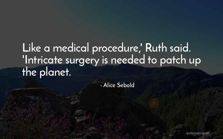 Biomedicine Journal Quotes By Alice Sebold Biomedicine Journal Quotes By Alice Sebold