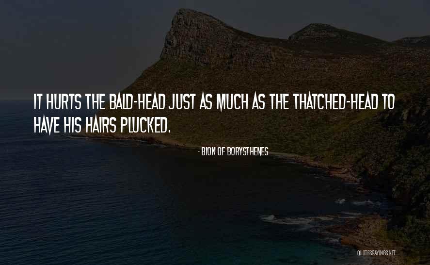 Bion Of Borysthenes Quotes 1931961 Bion Of Borysthenes Quotes 1931961