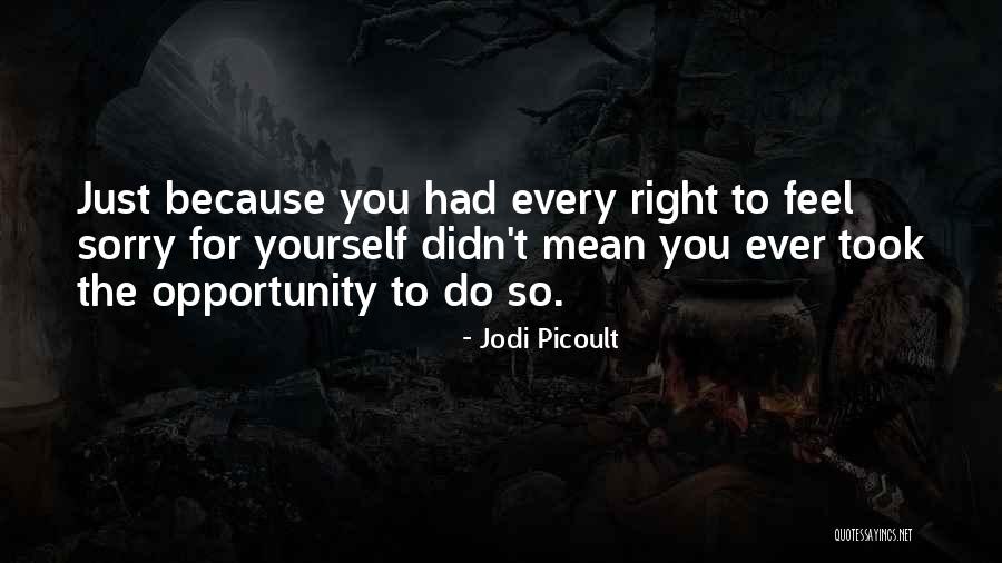 Biopic Def Quotes By Jodi Picoult Biopic Def Quotes By Jodi Picoult