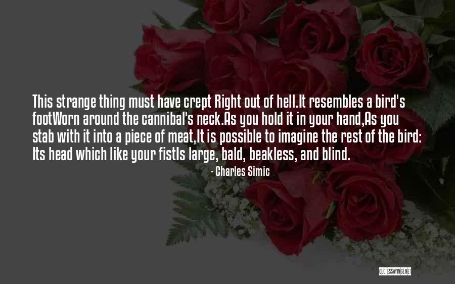 Biopic Film Quotes By Charles Simic Biopic Film Quotes By Charles Simic