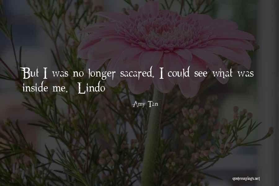 Biosocial Criminology Quotes By Amy Tan