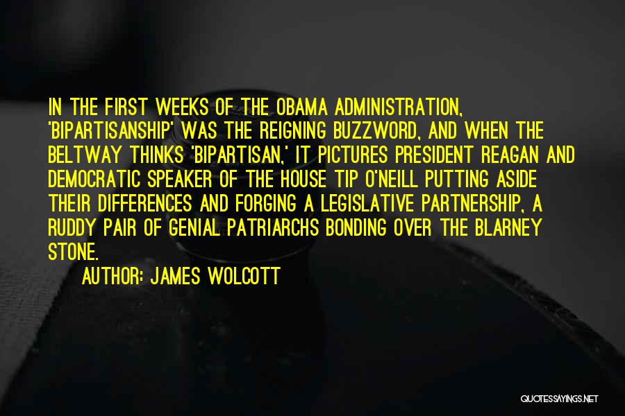 Bipartisanship Quotes By James Wolcott