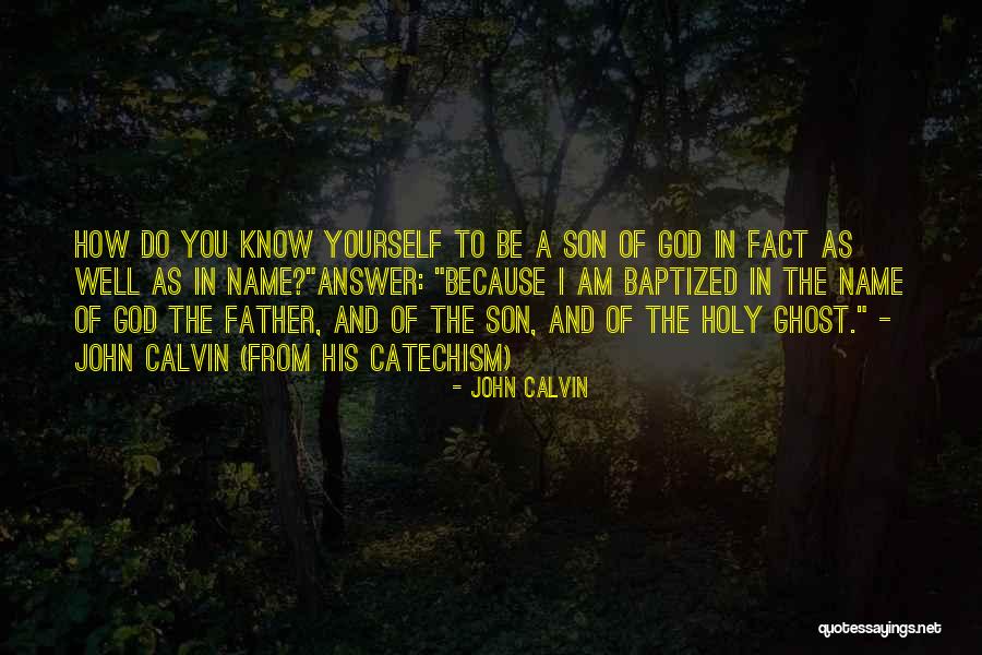 Bipin Patel Quotes By John Calvin Bipin Patel Quotes By John Calvin