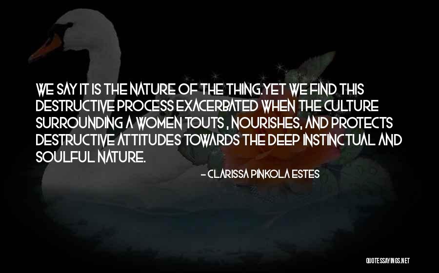 Biplano Significado Quotes By Clarissa Pinkola Estes