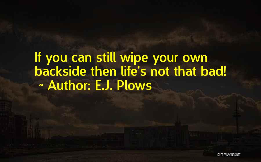 Bipolar Quotes By E.J. Plows