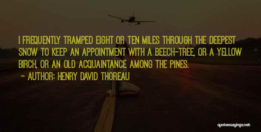 Birch Tree Quotes By Henry David Thoreau