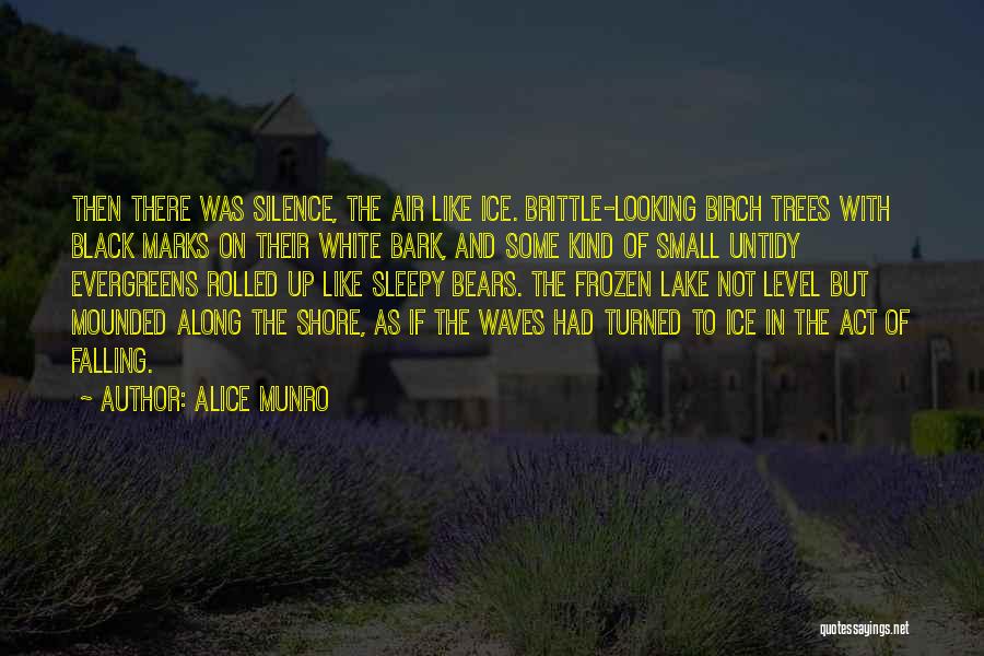 Birch Trees Quotes By Alice Munro
