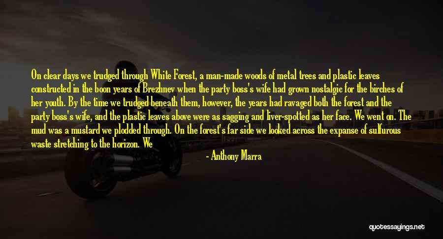 Birches Quotes By Anthony Marra Birches Quotes By Anthony Marra