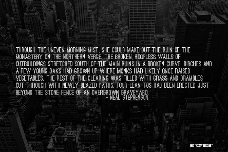 Birches Quotes By Neal Stephenson Birches Quotes By Neal Stephenson