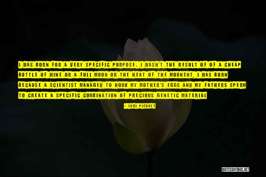 Birckshrie Quotes By Jodi Picoult Birckshrie Quotes By Jodi Picoult