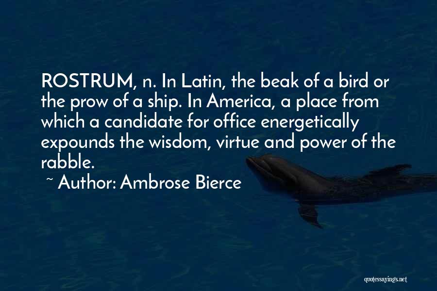 Bird Beak Quotes By Ambrose Bierce