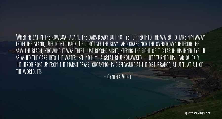 Bird Beak Quotes By Cynthia Voigt Bird Beak Quotes By Cynthia Voigt