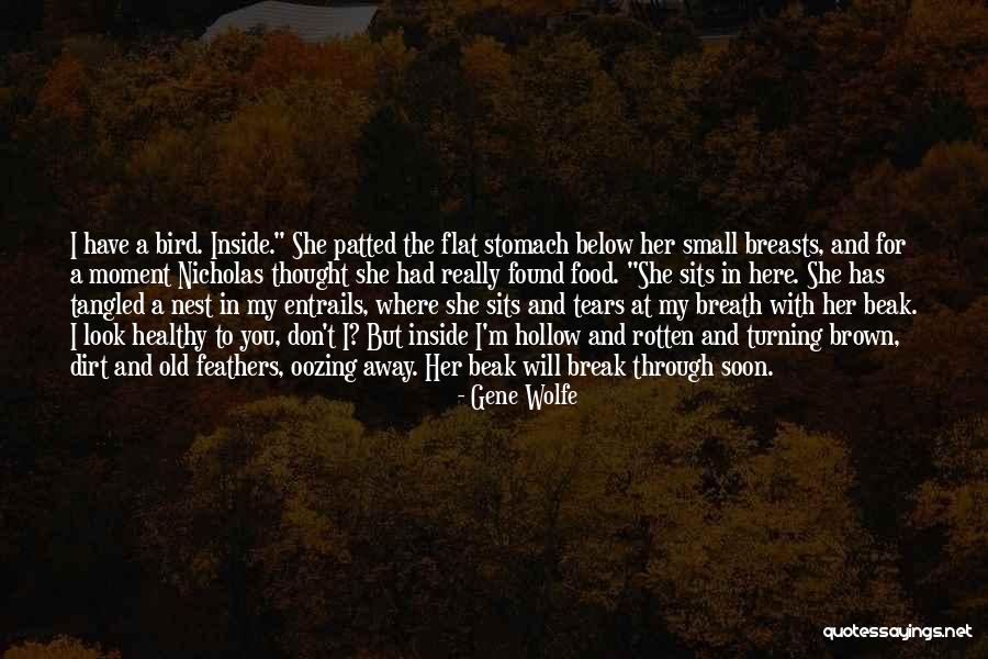 Bird Beak Quotes By Gene Wolfe Bird Beak Quotes By Gene Wolfe