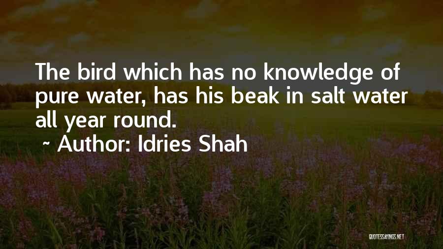 Bird Beak Quotes By Idries Shah