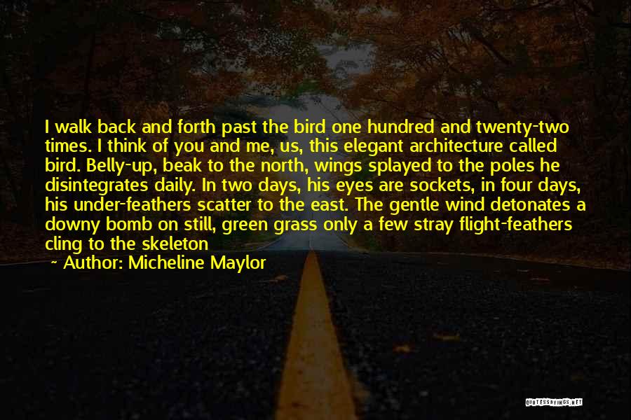 Bird Beak Quotes By Micheline Maylor